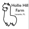Hollie Hill Farm