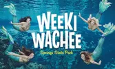 Weeki Wachee Springs State Park