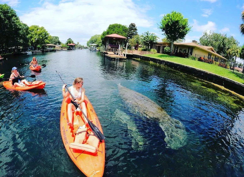 Lecanto, Florida — a community in central Citrus County